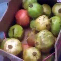 مواطن سعودي يوثق كيف خدعه البائع لتهاجمه الشرطة لاحقاً