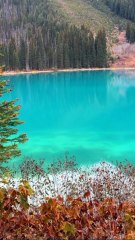 LES FORETS canadiennes vues du ciel