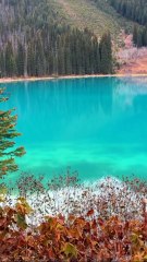 LES PEPITES canadiennes  lac et forêt
