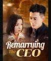Remarrying the CEO Chinese Drama - English Sub