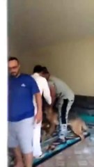 بالفيديو مزاح قاسي باستخدام كلب بين شباب سعودي