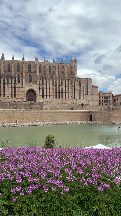 PETIT APERCU du port de Palma