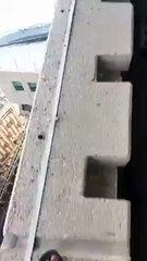 القبض علي شابيْ فيديو الاستعراض على حافة برج مجاور لـ ساعة مكة!