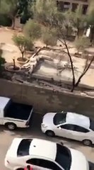 بالفيديو سرقة سيارة نهاراً في أحد شوارع الرياض