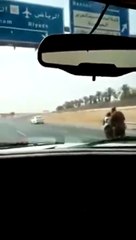 سائق لم يستجب لرجال الأمن ويفلت من كمين أمني بالرياض