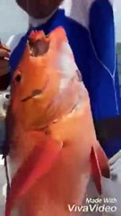 بالفيديو رجل أعمال سعودي يفرح بشكل هستيري على مركب صيد