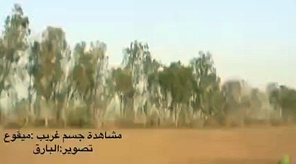 بالفيديو ظهور جسم غريب بالسماء شاهده صياد سعودي