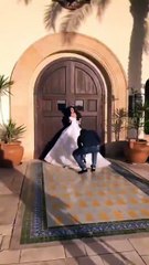 بالفيديو اول مشاهد من حفل زفاف النجمة كارمن سليمان