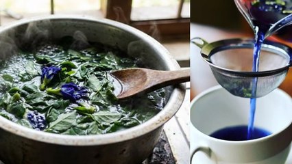 Aparajita Phool Ka Pani Peene Se Kya Hota Hai | Aparajita Flower Water Benefits In Hindi