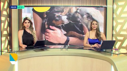 Cochabamba se prepara para la vacunación antirrábica masiva este 22 y 23 de noviembre