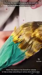 Daddy's Little Healer - Full Movie