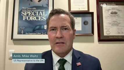 US Envoy to UN Defends Trump's Gaza Peace Plan