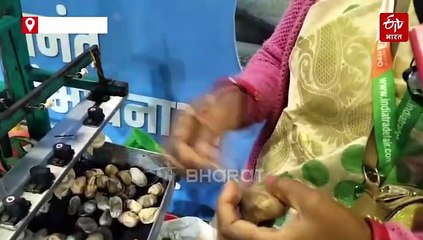 IITF 2025 के झारखंड पवेलियन में तसर रेशम के कीड़ों की प्रदर्शनी खींच रही लोगों का ध्यान, जानें पूरी प्रक्रिया