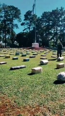 El Gobierno de Milei anunció la mayor incautación de marihuana en la historia argentina