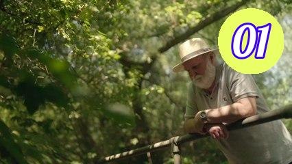 Cancer Detectives Finding the Cures Season 1 Episode 1 Engsub