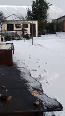 Temporale con grandine a Comacchio