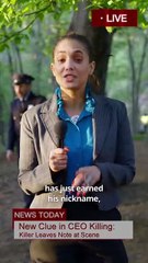 The Adjuster ReelShort