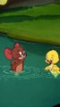 Tom and Jerry cartoon duck swimming training #