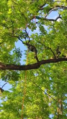 🔥 Amazing People Skills 💯Respect😯 ZHTJK