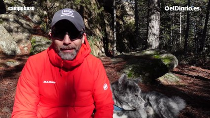 Ocho consejos para salir al campo con tu mascota