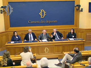 Presentazione Comitato per il Sì - Conferenza stampa di Luigi Marattin