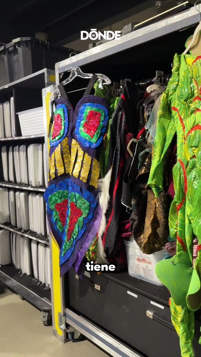 Secretos que debes conocer de OVO del Cirque du Soleil - Dónde Ir