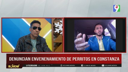 Denuncian envenenamiento de perritos en Constanza | ESM