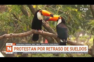 protestan funcionarios del zoologico