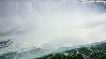 Nature, le retour du sauvage