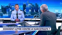 Punchline - Lutte contre le narcotrafic : un combat national ?