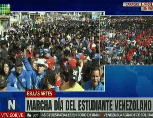 Segunda Vpdta. AN América Pérez afirmó que cada 21-N se revive la gesta histórica de la juventud venezolana