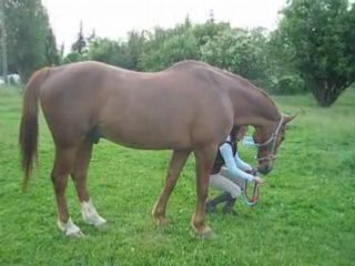 Célio révérence reculer