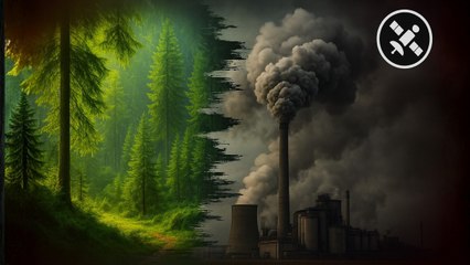 How Carbon Rating Agencies Could Stop Greenwashing for Good