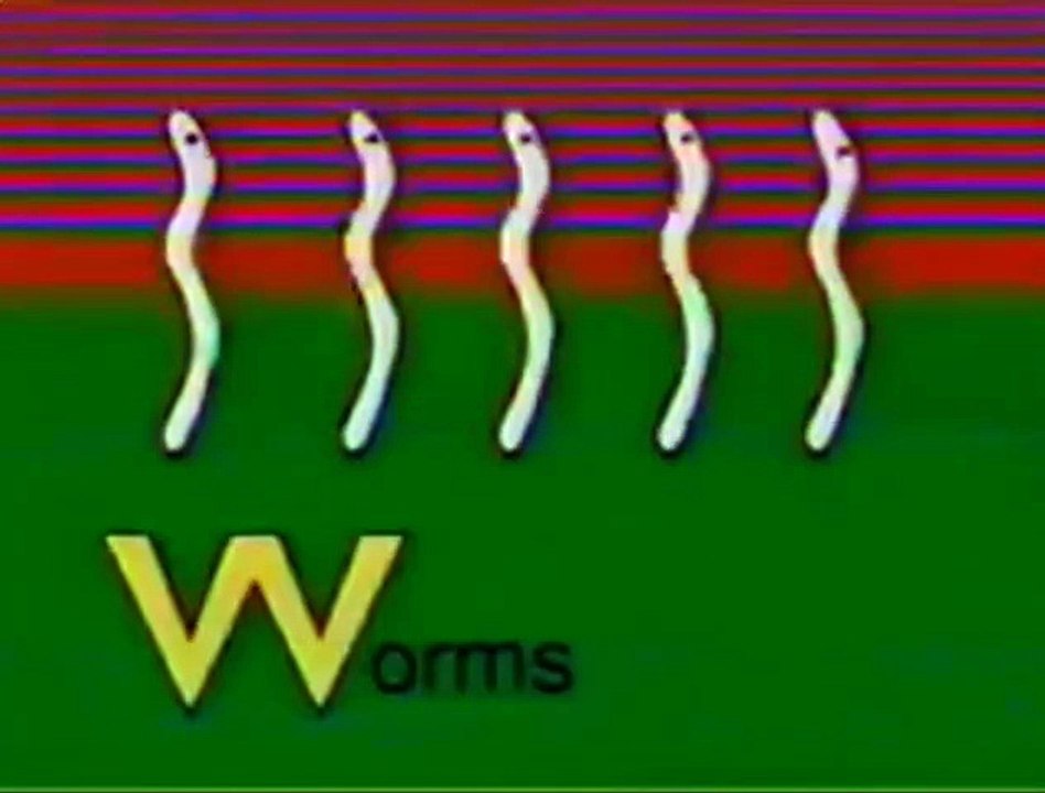 Baby English 베이비 잉글리쉬: S-Z Part 5 - W is for Worms