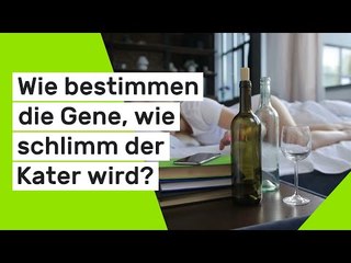 Wie bestimmen die Gene, wie schlimm der Kater wird?