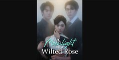 Moonlight on a Wilted Rose (Moboreels)