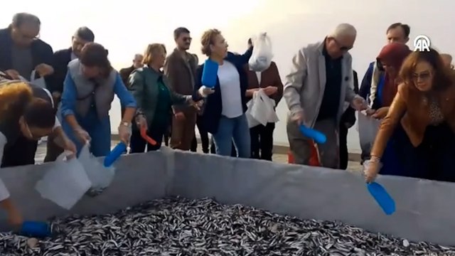 Hamsi festivalinde 10 ton balık dağıtıldı