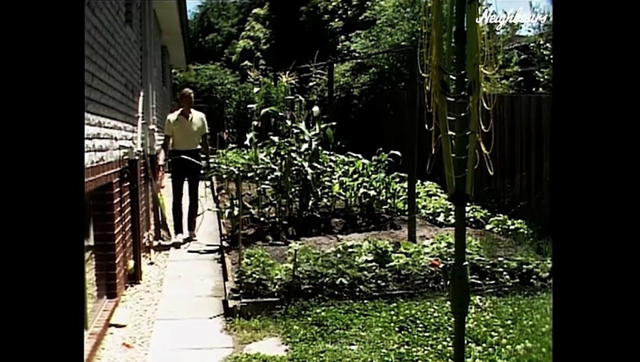 Neighbours (1986)  E204