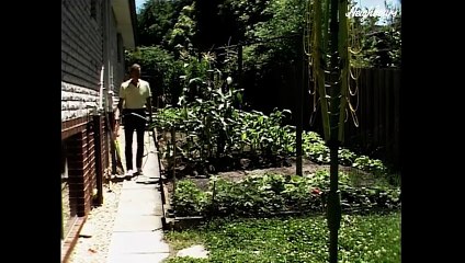 Neighbours (1986)  E204