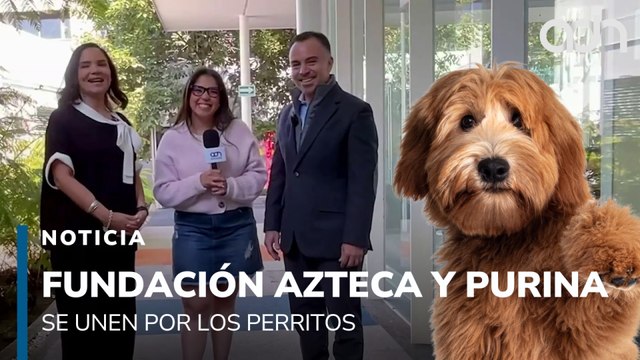Fundación Azteca y Purina se unen por los perritos para promover la adopción
