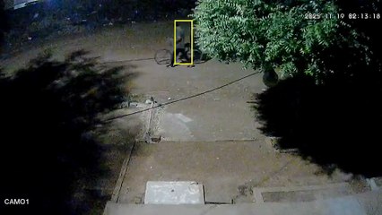 Furto de bicicleta é registrado no bairro Novo Horizonte; câmeras flagraram ação