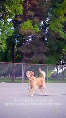 🧡🍏 🔥 [EngSub] The Cure for a Broken Heart