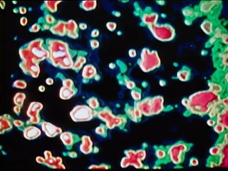 Cosmos - S01E09 - Magic Without Lies