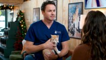 Sneak Peek: Christmas at the Catnip Café on Hallmark