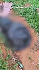 Corpo é encontrado em Ceilândia, próximo a CAESB