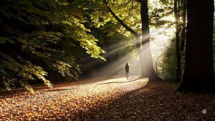 POZİTİF DÜŞÜNCE OLUMLAMALARI