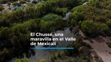 El Chaussé, una maravilla en el Valle de Mexicali