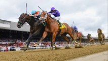 Analysis of Key Horses in the Dave's Friend Stakes Race