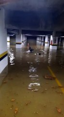 Garagem da Assembleia Legislativa é alagada durante temporal em Salvador; veja