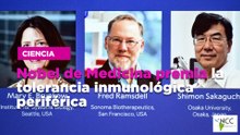 Nobel de Medicina premia la tolerancia inmunológica periférica